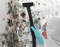 Best Black Mold Removal  in Stony Prairie, OH